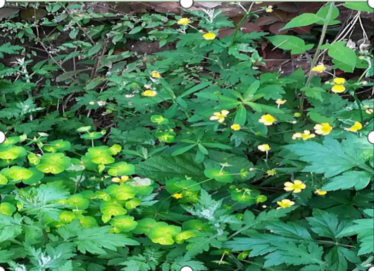 第一周2.png 第一周2.png