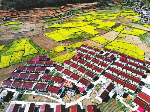 8c1092d79f244c308abbdba35a4bd1ea.jpg 8c1092d79f244c308abbdba35a4bd1ea.jpg