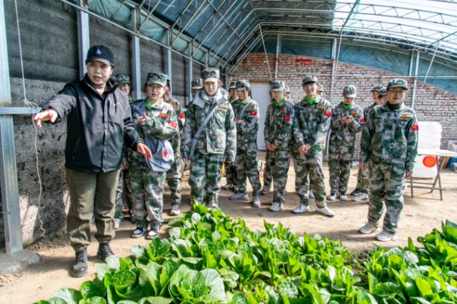 師生在第六埠村蔬菜大棚，了解蔬菜種植過(guò)程和常見病蟲害防治等知識(shí)。.jpg